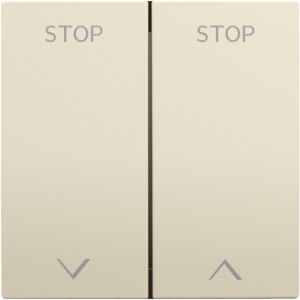 90613 TMF - slonová kost