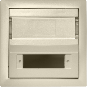 90448 SMF - slonová kost